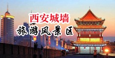大黑逼被插中国陕西-西安城墙旅游风景区